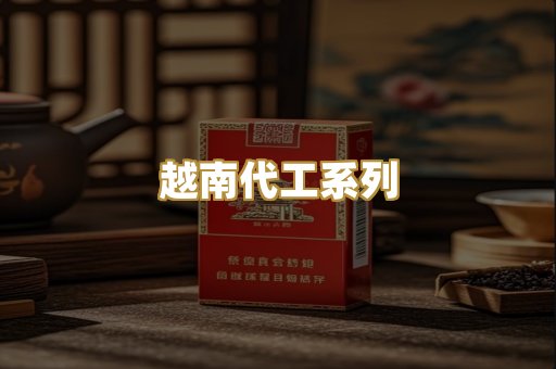 越南代工系列